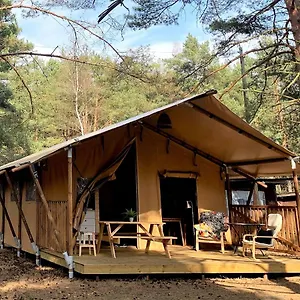 Camp Bursztynowy Gdansk